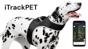 Waterproof Mini Portable Pet GPS GSM Tracker Realtime Area Tracking Size:XS