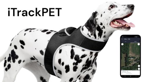 Waterproof Mini GSM GPRS Pet Tracker - Realtime SMS Tracking Reports Size:XS