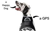 Waterproof Collar Pet Electronic Tracking System Portable GPS Tracker Size:XS