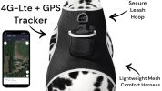 Waterproof Location Tracking Device GSM GPS Rechargeable Puppy Tracker Size:XS