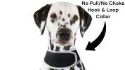 Waterproof GPS Tracking System Mobile Pet Tracker Free Real-time App Size:XS