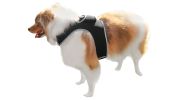 Realtime GSM GPS Dog Collar Android Tracking System Waterproof Finder Size:XS