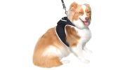 Realtime GSM GPS Dog Collar Android Tracking System Waterproof Finder Size:XS